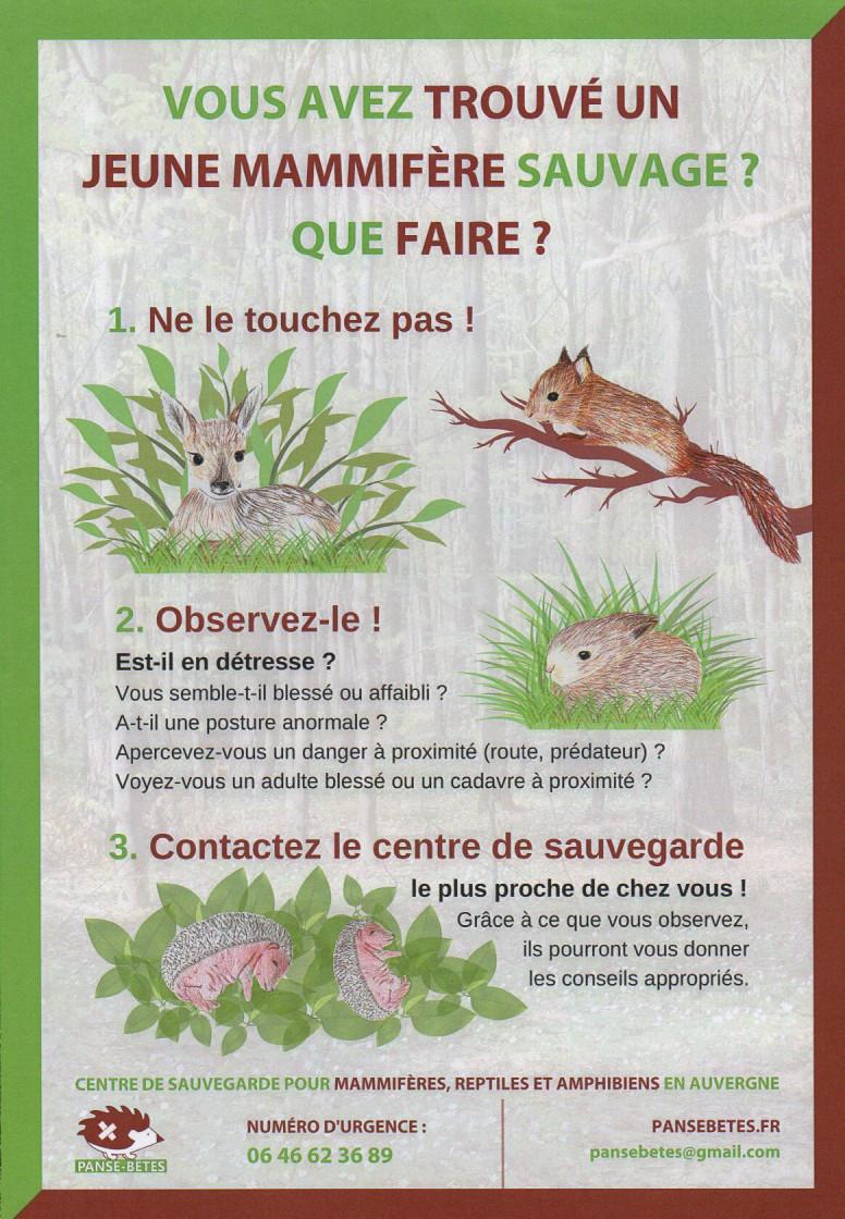 Animaux1