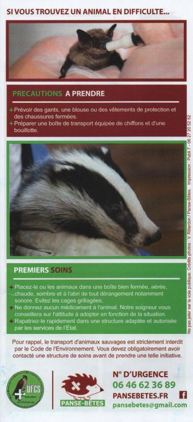 Animaux3