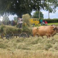 Comment s'appelle la fête principale du village ?