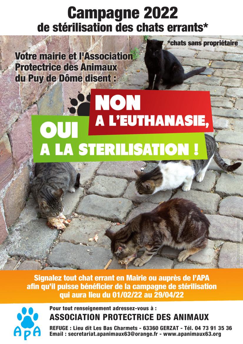 Hd affiche a4 campagne de sterilisation 2022